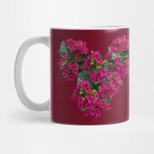 Kalanchoe - Kalanchoe Heart Mug